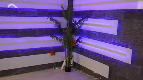 Celline online show from November 24, 5:20 am