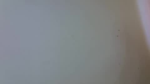 Sunny online show from March 5, 11:17 am