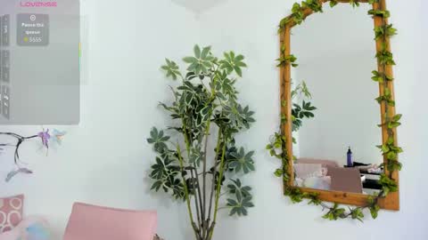 Shego  online show from November 26, 12:22 am