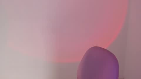   online show from November 19, 2:00 am