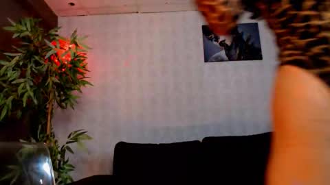 Silvia online show from February 4, 7:44 am