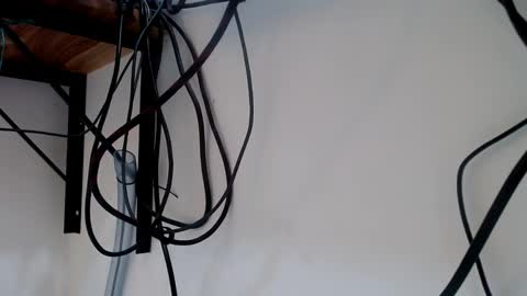 VERUS online show from April 19, 6:54 pm