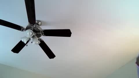 slimmmgooodiexoxo online show from December 16, 3:18 pm