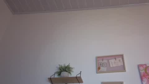     online show from November 15, 3:51 am