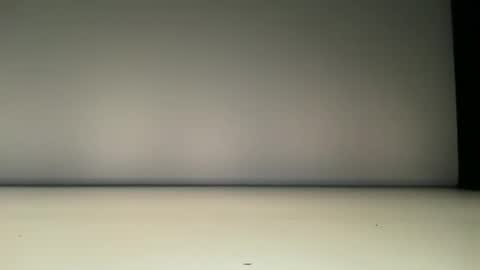 L4 online show from November 12, 7:12 pm