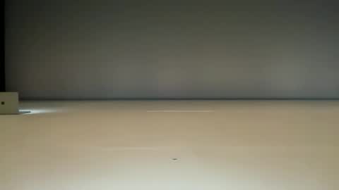 Ol4 online show from November 12, 7:12 pm