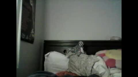 spipalina online show from April 13, 1:01 pm