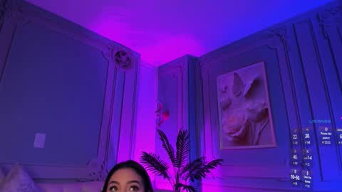         online show from November 26, 2:34 am