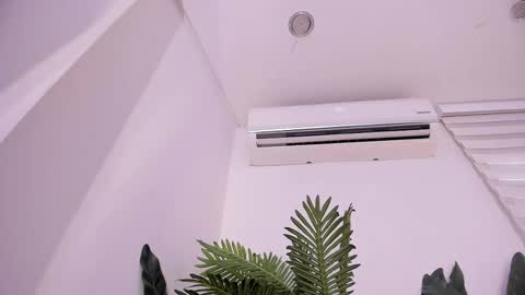 Stephany  online show from December 22, 6:00 pm