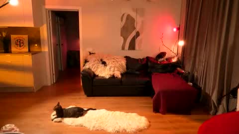 Lika ginger  Jessy blond   online show from April 16, 2:12 am