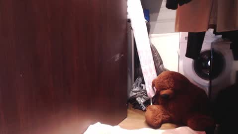 Hella online show from December 4, 8:56 am