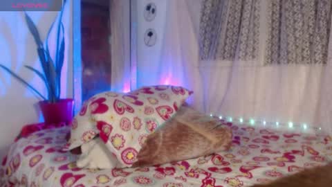 susy online show from May 23, 1:15 am