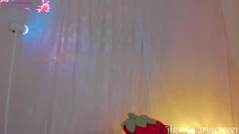 camil online show from November 3, 5:11 am