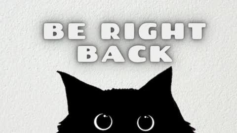 syllviareed online show from December 22, 10:18 am