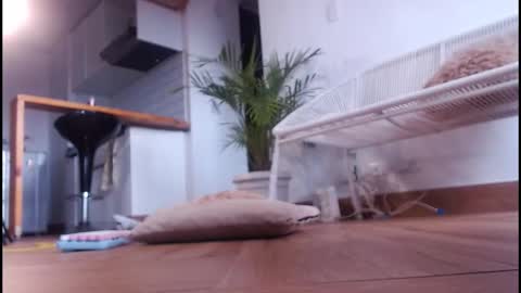 Tamara online show from December 5, 7:04 pm