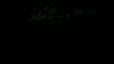 shanny online show from January 19, 4:19 am