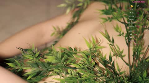 Toshi online show from November 3, 1:04 pm