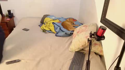 trixx_01 online show from January 17, 3:03 am