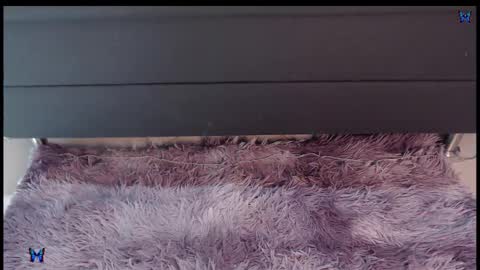 valery carter01 online show from March 8, 3:32 am