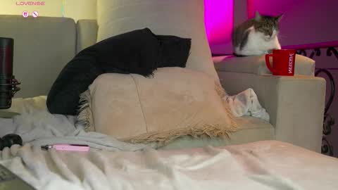 Valeria online show from November 15, 11:06 pm