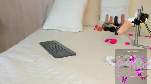 V A N E  online show from April 16, 2:45 am