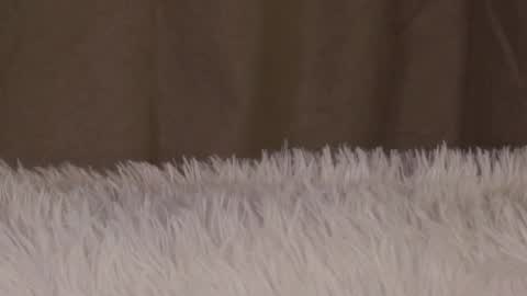 vedatroe online show from February 21, 6:36 am