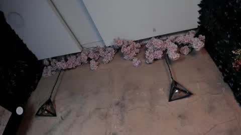 victoriaa2_doll online show from December 20, 1:48 pm