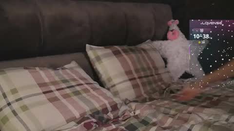 Zozo online show from January 8, 4:33 pm