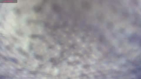 white_sexy_ online show from March 20, 8:58 pm