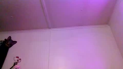 xkittymeowz online show from December 23, 2:15 am