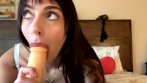 Moxie Merlot online show from December 19, 8:45 pm