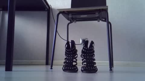 Dina online show from October 8, 4:17 am