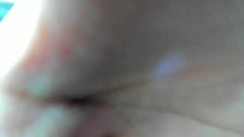 Z A R A online show from December 21, 2:38 am