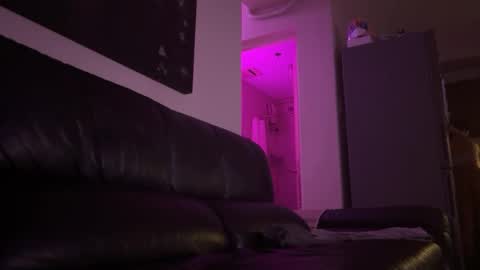 Ziggy ziggy-   online show from January 4, 11:54 am