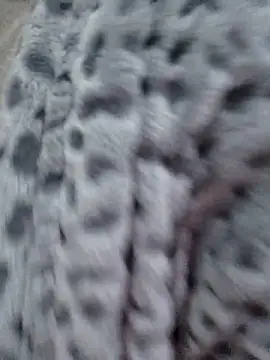 bruneta sexy23 online show from January 9, 4:17 am