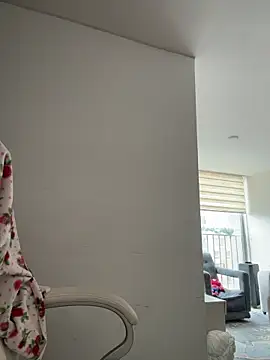 pamell col online show from November 19, 2:06 pm