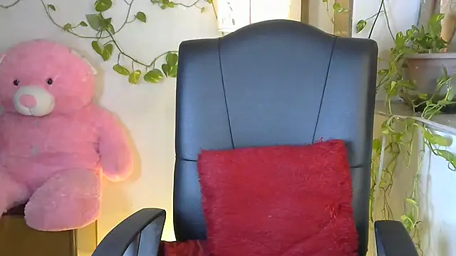 Black cat cutie online show from July 3, 5:35 am