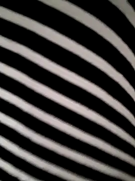 hotandfierylatinos2023 online show from March 16, 11:03 am