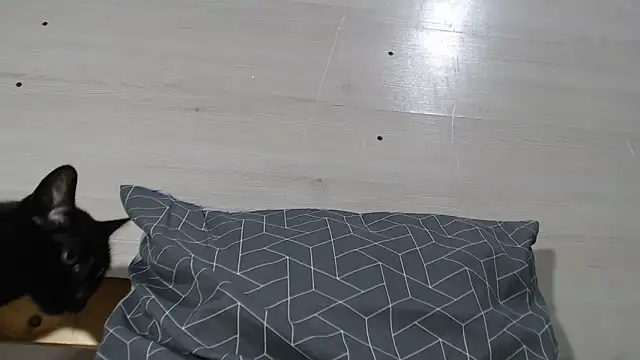 ANNA38 online show from October 16, 5:04 pm