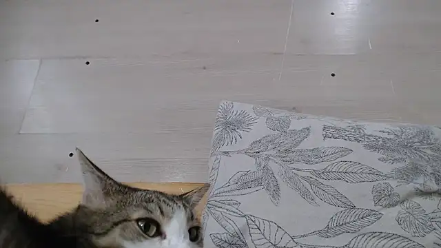 ANNA38 online show from September 29, 1:27 pm