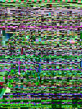 FlorBich online show from April 8, 6:04 am