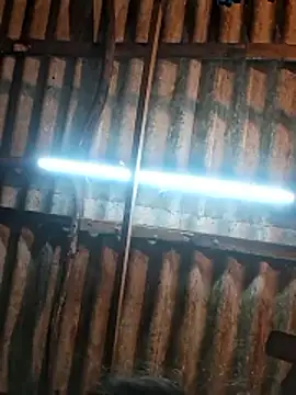 HotSexyBoudi online show from January 9, 9:46 am