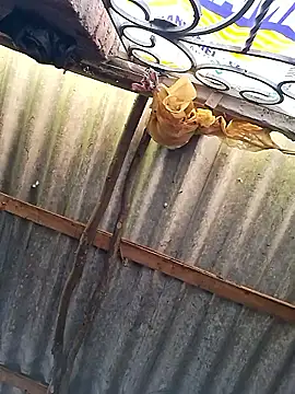 HotSexyBoudi online show from January 15, 9:26 am