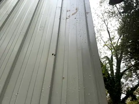 trash4cash online show from November 3, 2:43 pm