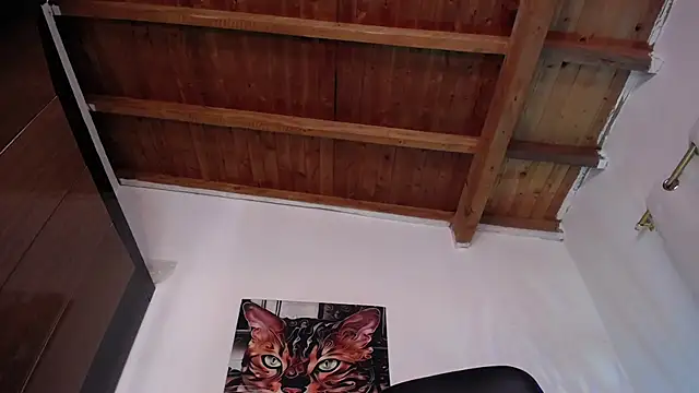 Exotic  XXX online show from December 3, 1:41 am