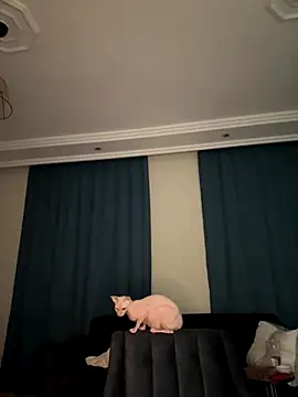 yaprakmericc online show from November 14, 11:16 pm