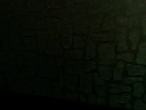 Lilyevansx online show from October 12, 4:09 pm