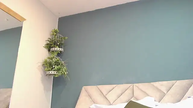 SharisWillian online show from December 23, 3:54 am