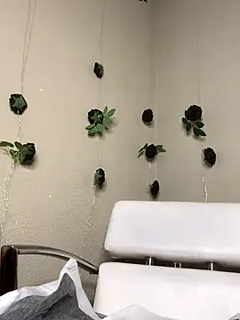 Shuggabutt online show from November 2, 1:58 pm