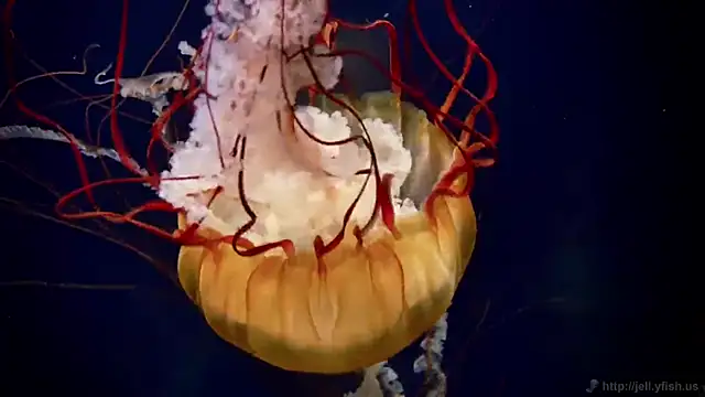 Snapshot of streamy_test12 chatting on October 2, 9:58 am streamy test12 online show from October 2, 9:58 am